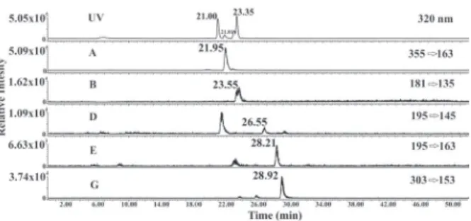 Figure 3 -  Chromatogram of the lyophilized coconut water by  LC/MS/MS spiked with standards