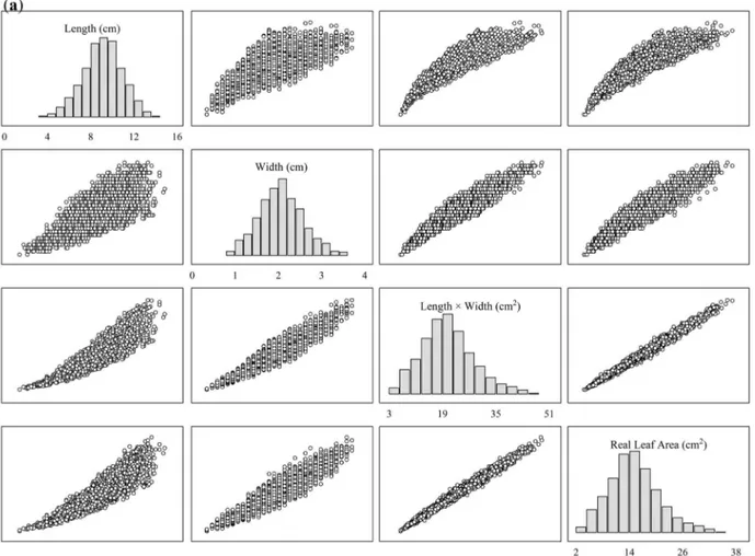 Figure 1a -  Matrix with a histogram frequency (in diagonal) and dispersion graphs of length (cm), width (cm), length times width  (in cm 2 ) product and real leaf area (cm 2 ) of 3,200 leaves of Crotalaria juncea