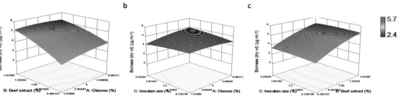 Figure 3  - Response surface graph of B. cereus IB311 production in terms of biomass (dry wt.)﻿