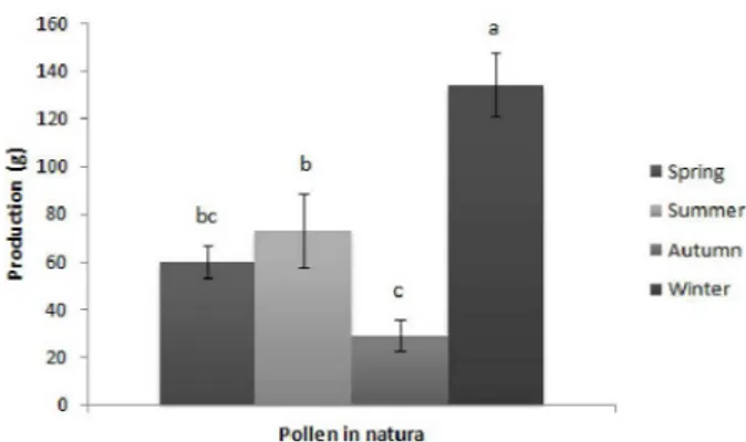 Figure 1 - Bee pollen in natura production averages, collected  in different seasons by  Apis mellifera L.