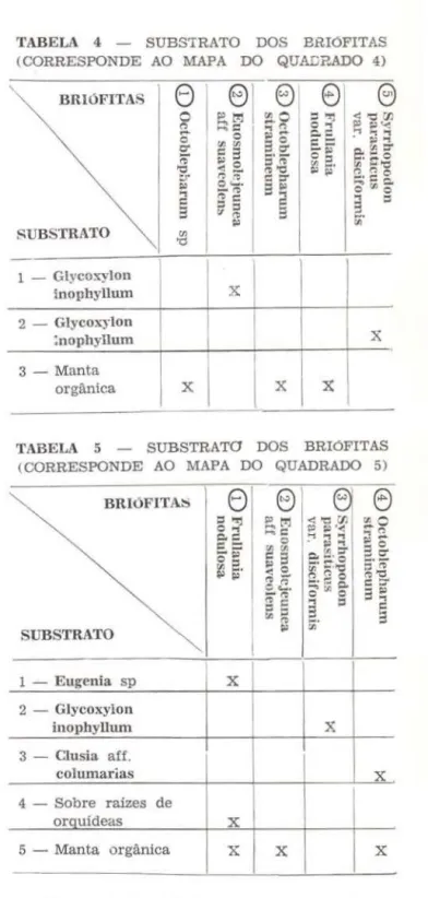 TABELA  4  - SUBSTRATO  DOS  BR.IóFITAS 