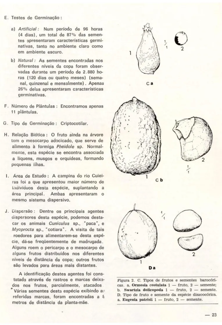 Figura 2. C. Tipos de frutos e sementes barocón- barocón-cas. a. Ormosia costulata 1 — fruto