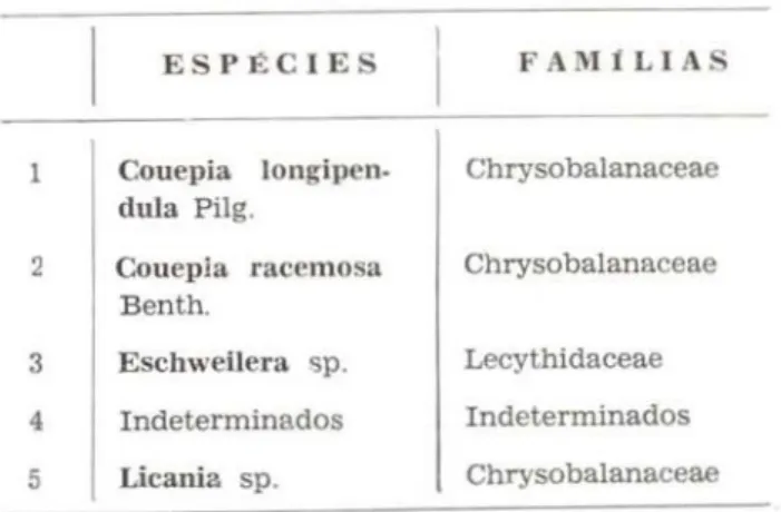 Tabela n.° 63. Espécies de mata de terra Ur  me, cujos frutos e sementes foram  encontra-dos na campina do km 62, (Reserva Biológica  do INPA-SUFRAMA) com marcas de roedores