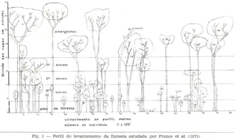 Fig.  1  - Perfil  d o  levantamen to  da floresta  estudada  por  Prance  et  al.  ( 1975) 