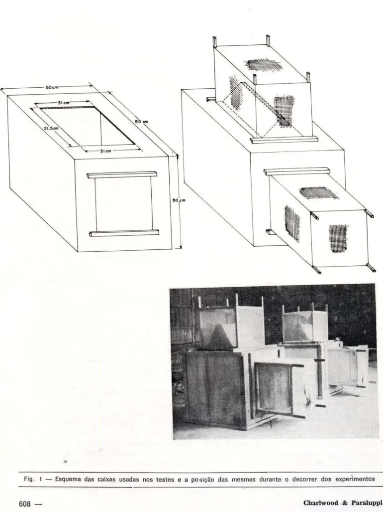 Fig.  1  - Esquema  das  caixas  usadas  nos  testes  e  a  posição  das  mesmas  durante  o  decorrer  dos  experimentos 