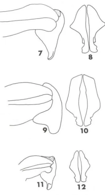 Figs  7-12  - Lateral  and  caudal  views  of  mal e  genital ia. 