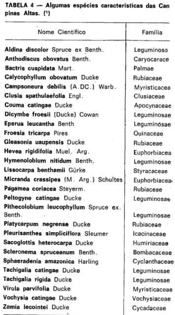 Fig. 6 — Mata seca com as copas das árvores des- des-providas de folhas.. 