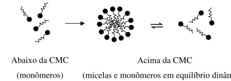 Figura 2 – Representação esquemática da formação das micelas  