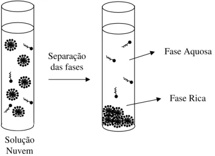 Figura 3 - Esquema do processo de formação do ponto nuvem e separação das fases Fase Rica Fase Aquosa Separação das fases Solução Nuvem 