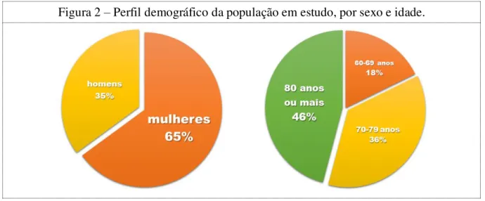 Figura 2  –  Perfil demográfico da população em estudo, por sexo e idade. 