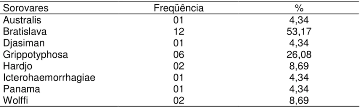 Tabela  2:  Freqüência  de  sorovares  de  Leptospira  spp.  detectados  pelo  SAM  em  rebanho ovino com problemas reprodutivos, Uberlândia – MG, 2007 