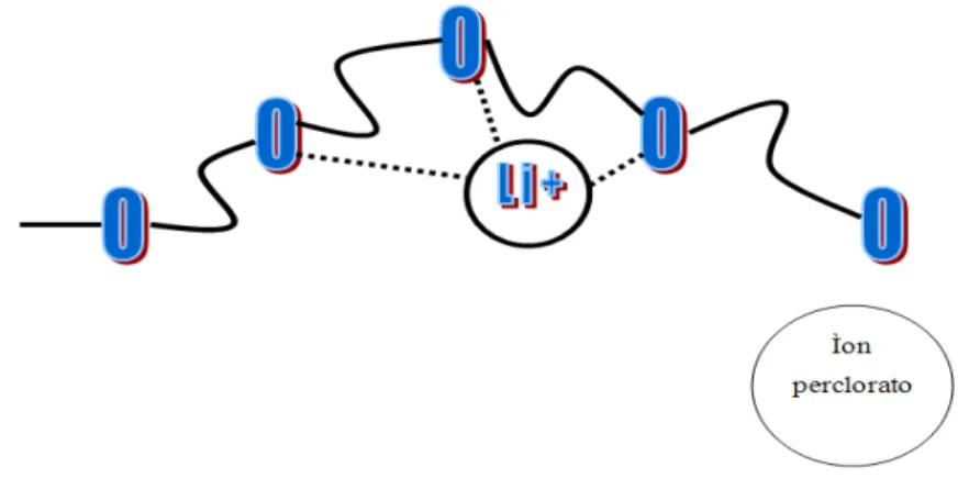 FIGURA 2 – Representação da interação entre uma cadeia polimérica tipo POE  