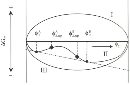 Figura 19. Gráfico da variação da energia livre e composição dos polímeros (Akcelrud, 2007)