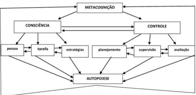 Figura 3. Estratégias metacognitivas e subestratégias.  