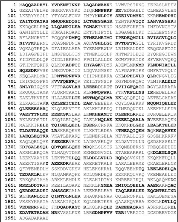 Fig.  4.  Peptídeos  pareados  para  miosina  IIA.  Os  peptídos  gerados  por  digestão  com  tripsina  foram  submetidos  a  identificação  em  banco  de  dados  no  NCBI