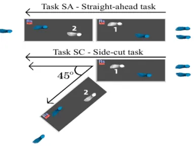 Figure 2.1. Comparative representation of the straight-ahead and side-cut tasks. The feet 1 (trailing limb), and 2  (leading limb), were the ones analyzed
