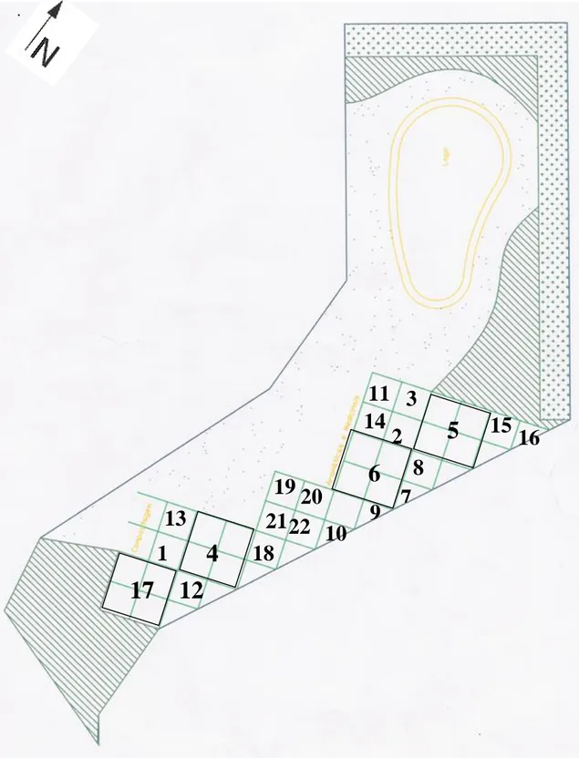 Figura 6 – Esquema representativo da localização das 22 espécies no “canteiro” da Escola Diogo Cão, 2006