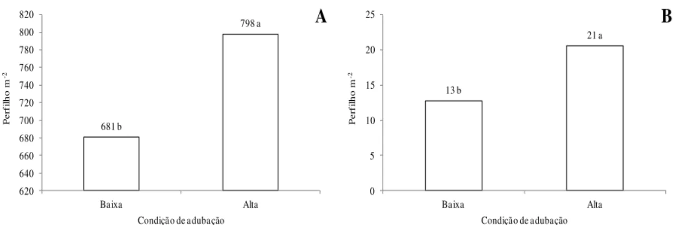 Figura 1 - Densidade populacional de perfilhos vegetativos (A) e reprodutivos (B) em dosséis  de  capim-marandu  sob  condições  de  adubação  no  segundo  ano  experimental