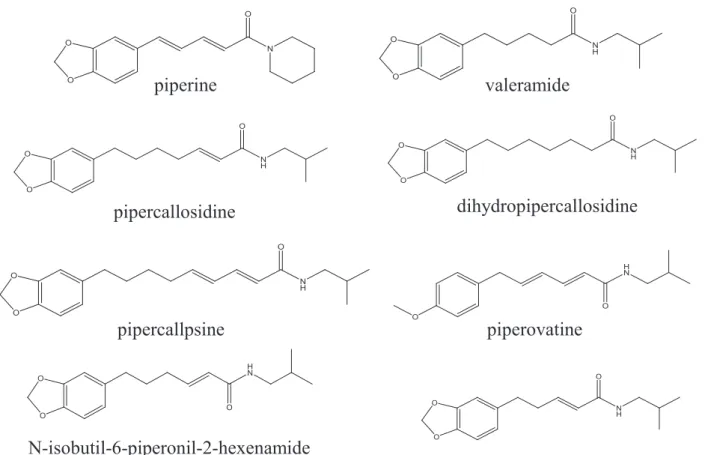 Figure 1 - Characterized amides from roots of O. anisum Sprengel.