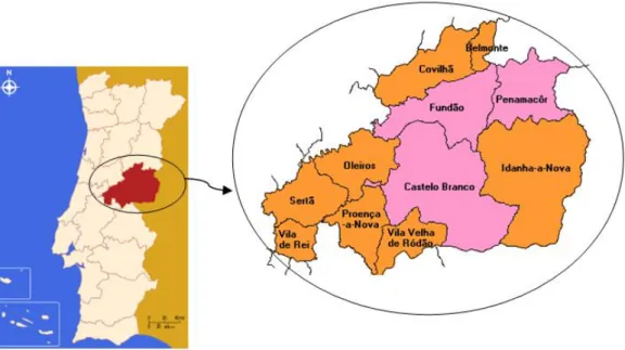 Figura 1 - Localização da Cidade de Castelo Branco no mapa de Portugal.