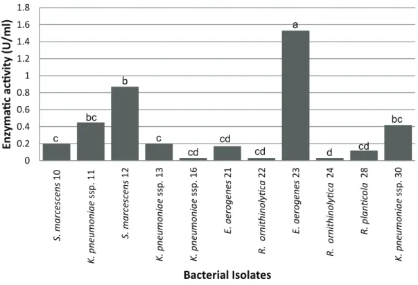 Figure 1 - Extracellular lipase enzymatic activity of bacteria obtained from effluents of dairy products and  slaughterhouses industries located in Pelotas/RS, Brazil.