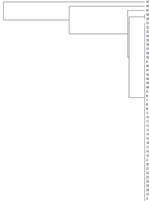 Figure 3 - UPGMA phenetic tree obtained using data from the ISSR markers, showing the  genetic relationships among the 48 of jatropha accessions, identified according to Table I.