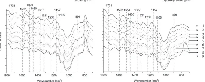 Figure 1 - ATR-IR spectra of untreated and thermally treated wood.