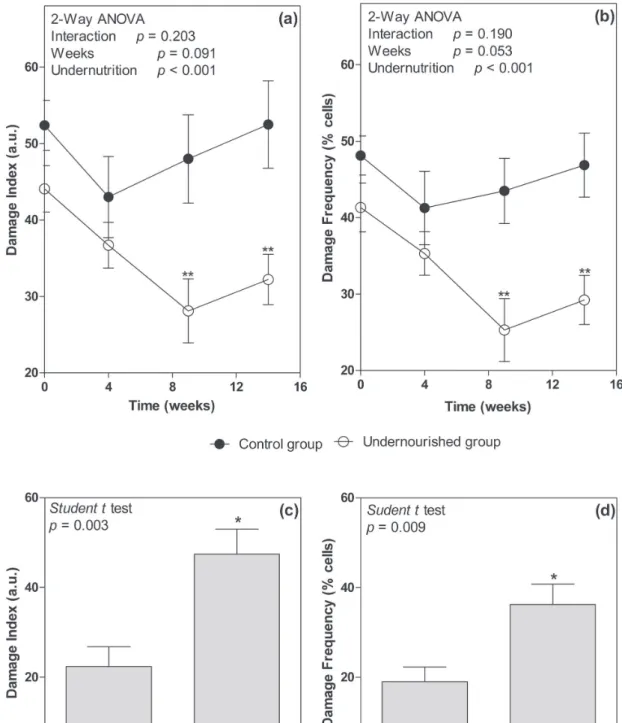 Figure 3 - Level of DNA damage index in the blood and hippocampus of rats submitted to caloric restriction for 14 weeks