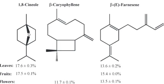 Figure 1 -  Structures of main constituents identified in different parts of  Vitex agnus-castus essential oils.