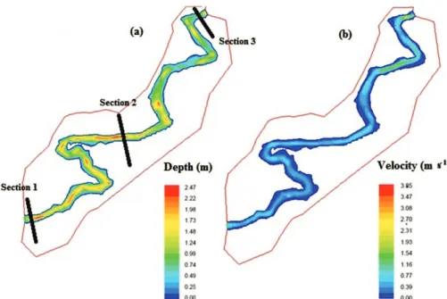 Figure 2 -  Formoso River stretch studied.  a.  Depth. –  b.  Velocity.
