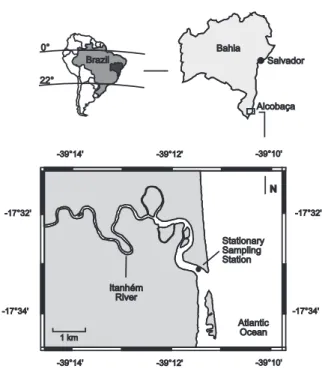 Figure 1 - Study area location in the context of South America  and the state of Bahia, indicating the stationary sampling  station