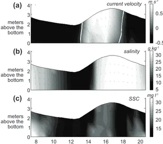 Figure  3 -  Temporal  and  vertical  distribution  of  current  velocity (a , flood +/ ebb -) in m s -1 , salinity ( b ) in g kg -1  and  SSC (c) in mg l -1  during the 2007 neap tide survey.