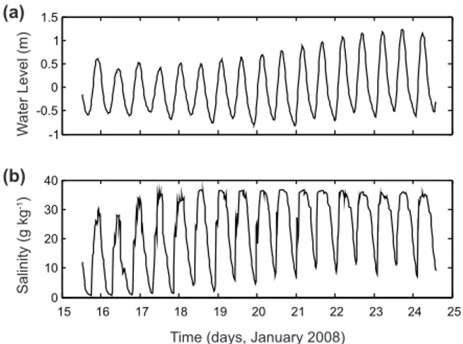 Figure 7 -  Time series of tidal oscillation (a) and salinity (b)  recorded during the 2008 campaign by the instruments fixed  on a pier.