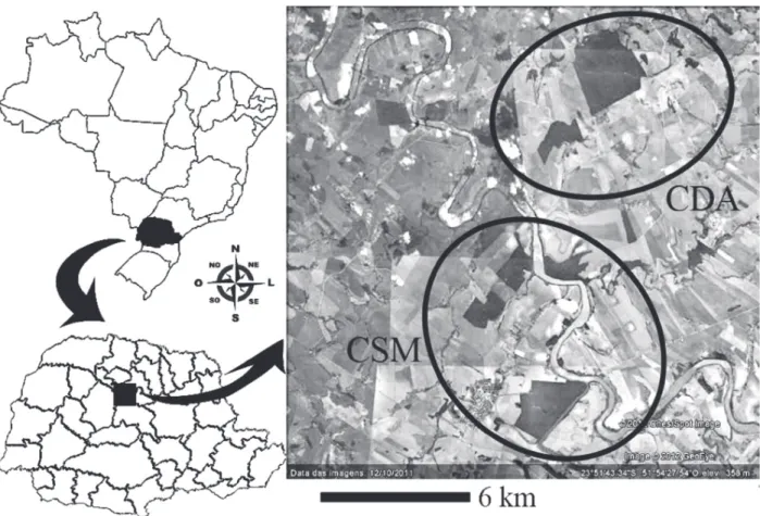 Figure 1 - Map of Brazil, featuring the state of Paraná and a satellite image of both areas sampled between September 2011 and  March 2012, demonstrating the fragments of Mesophytic Semideciduous Forest and its surroundings
