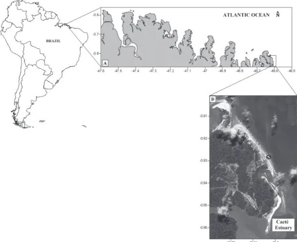 Figure 1 - Study area: (A) Municipality of Bragança, Pará, Brazil; (B) Ajuruteua beach (Northeastern Pará), showing  the location of the fixed sampling station (black symbol - Modified from Sousa et al