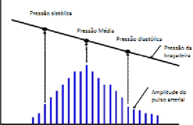 Figura 9- Variação da oscilação da pressão arterial durante uma medição. Retirada de (Shimazu, n.d.) 