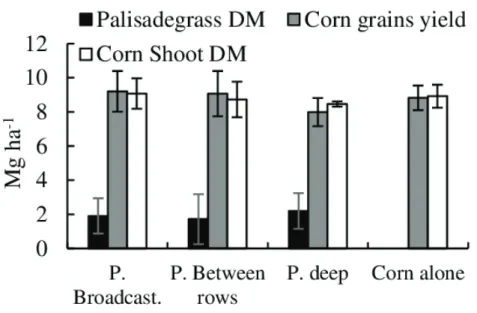 Figure 3  - Total N (a) and N fertilizer recovery (b) in the corn shoot, grains, total corn (grains +  shoot), palisadegrass and aboveground (corn + palisadegrass)