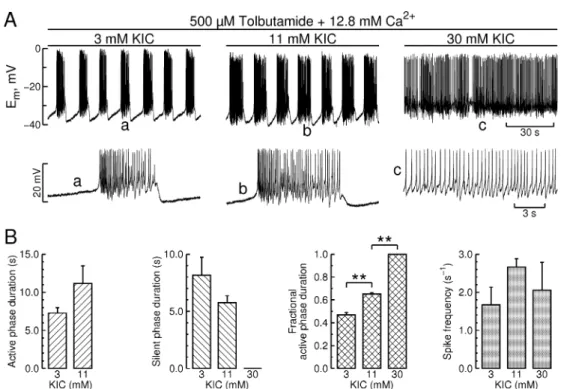 Fig. 2C shows that neither the immediate nor the sustained effects of glucose originated from activation of serine/threonine protein kinases
