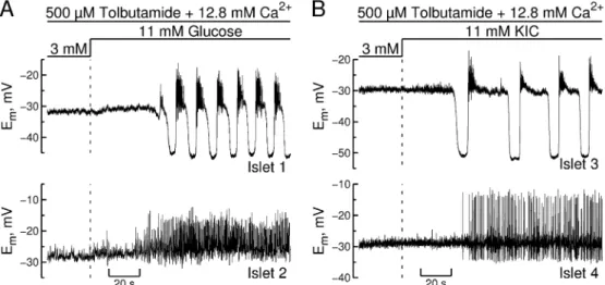 Fig. 4B depicts cells lacking bursting electrical activity in 3 mM KIC, tolbutamide and high [Ca 2+ ] o 