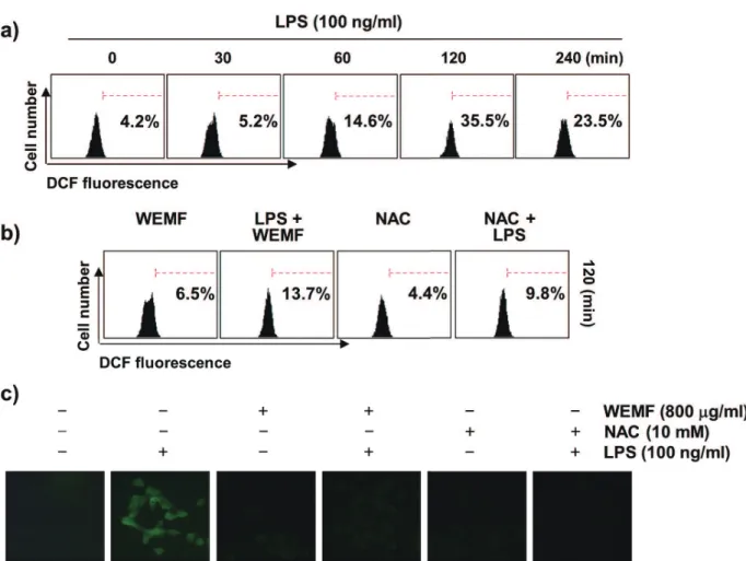 Figure 6 - Eff ects of WEMF on LPS-induced ROS production in RAW 264.7 macrophages. The cells were treated with 100 ng/