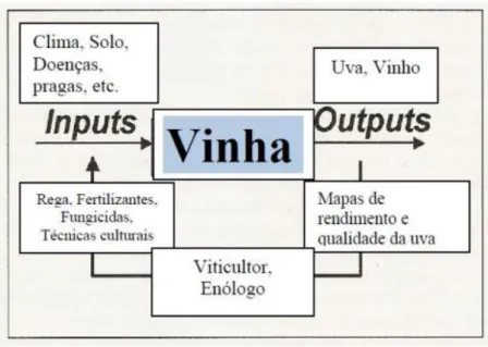 Figura 2 - Processo de entradas (inputs) e saídas (outputs) [19]. 