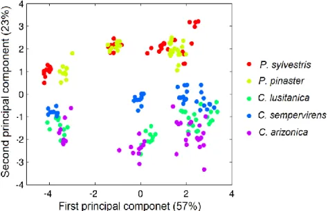 Fig. 3. Principal component analysis for the normalized data of the paper properties of P