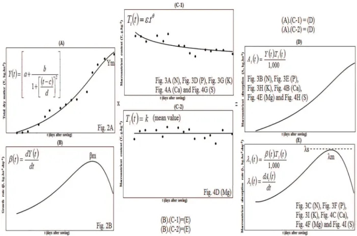 Figure 1 - Basic hypothesis of the macronutrient absorption model: (a) crop growth (Y, kg[dry matter].ha -1 ),  (b)  crop  growth  rate  (β,  kg[dry  matter].ha -1 .day -1 ) as a function of time (t, day - DAS), (c) macronutrient content (T,  kg[nutrient].
