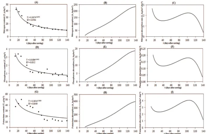 Figure 3 - Macronutrient content of the whole plant (T, g.kg -1 ), total absorption (A, kg.ha -1 ) and absorption rate  (λ, kg.ha -1 .day -1 ) for nitrogen (a, b and c), phosphorus (d, e and f) and potassium (g, h and i) in the maize (hybrid DKB 390 PRO  2