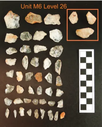 Figure 10 - Sample of cores (inside box) and flakes from Unit  M6, Level 26, dated ca