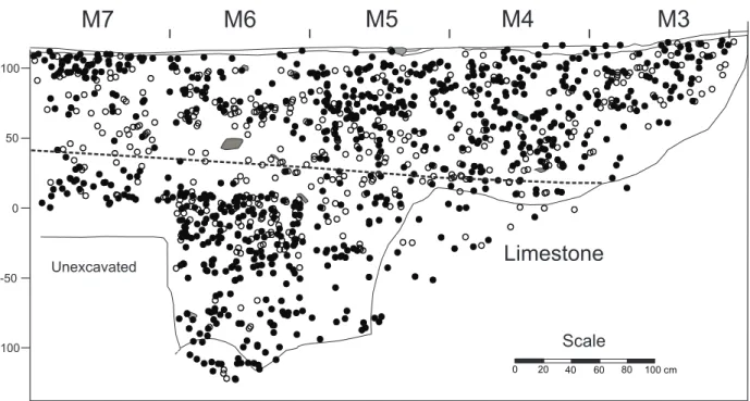 Figure 4 - East profile of the “M Units” showing major stratigraphic layers, soil colors, and radiocarbon samples.