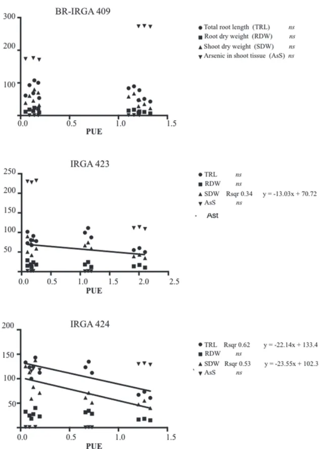 Figure 6 - Phosphorus use efficiency (PUE) relationship to sum of species of total As, shoot dry weight, root dry weight  and total root length for BR-IRGA 409, IRGA 423 and IRGA 424 cultivars in shoot tissue samples.