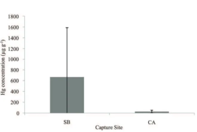 Figure 2 - Total Hg content (µg g -1  dry weight ± SD) in the  fur of jaguars by capture site