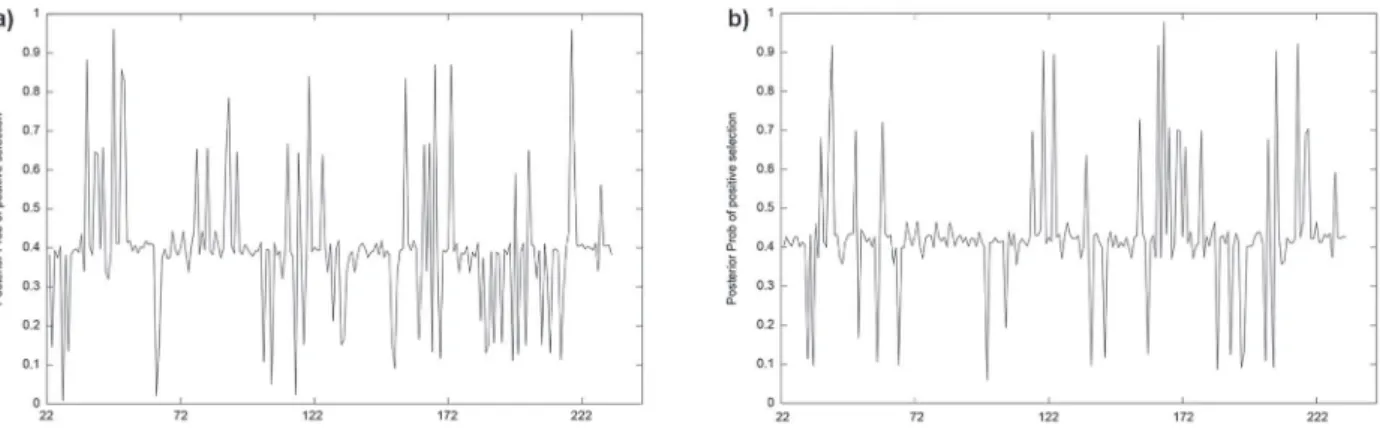 Figure 3 - Posterior probability of codons under selection estimated by FUBAR model (a = Neotropical cichlids; b = African  cichlids).