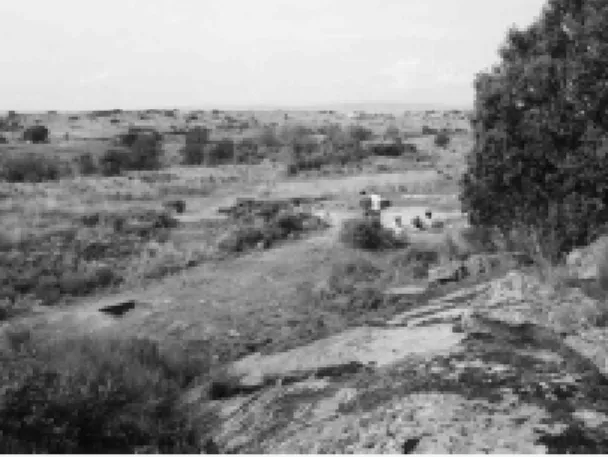 FIG. 8-33 –  Vista do locus de Olga Grande 4, durante a escavação.